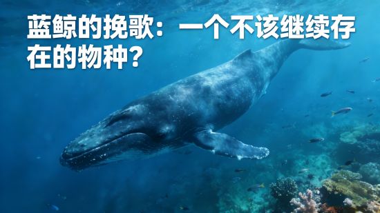 蓝鲸的挽歌：一个不该继续存在的物种？